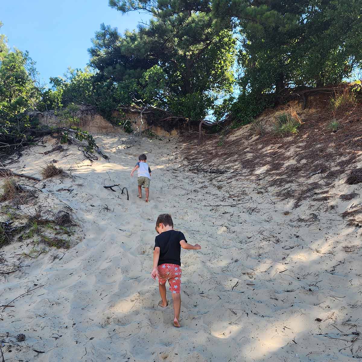 Climbing Jockey's Ridge on the Outer Banks