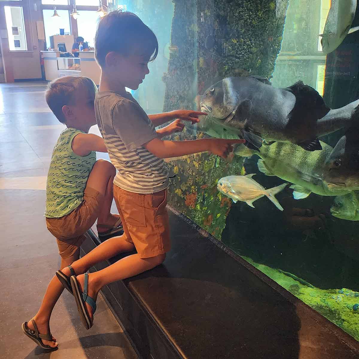 Viewing the aquarium at Jennette's Pier