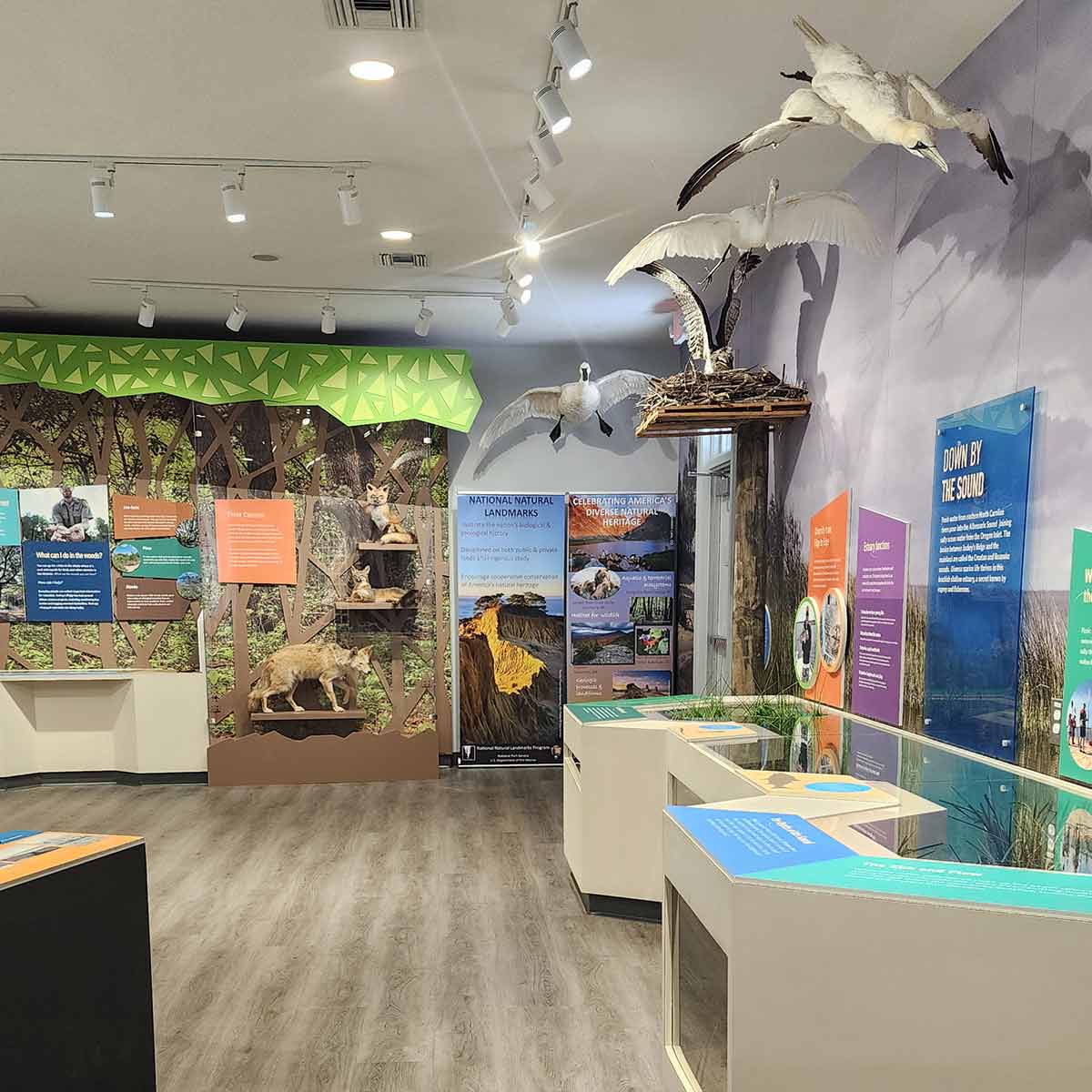 Jockey's Ridge Visitor Center interior